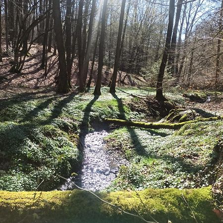 Wellness Ferienwohnung Biene Im Bergischen Land Much Exteriör bild